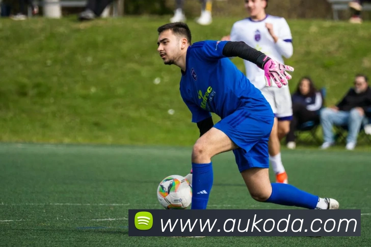 开云官方登陆入口平台生态图