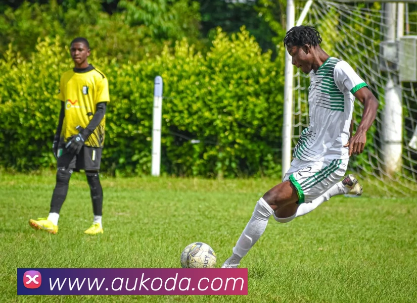 开云官方登陆入口全站App